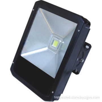 LED Tunnel Light (TP-T11-080W01)
